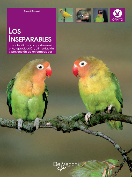 Title details for Los inseparables by Gianni Ravazzi - Available